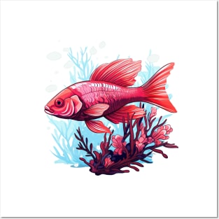Cherry Barb Posters and Art